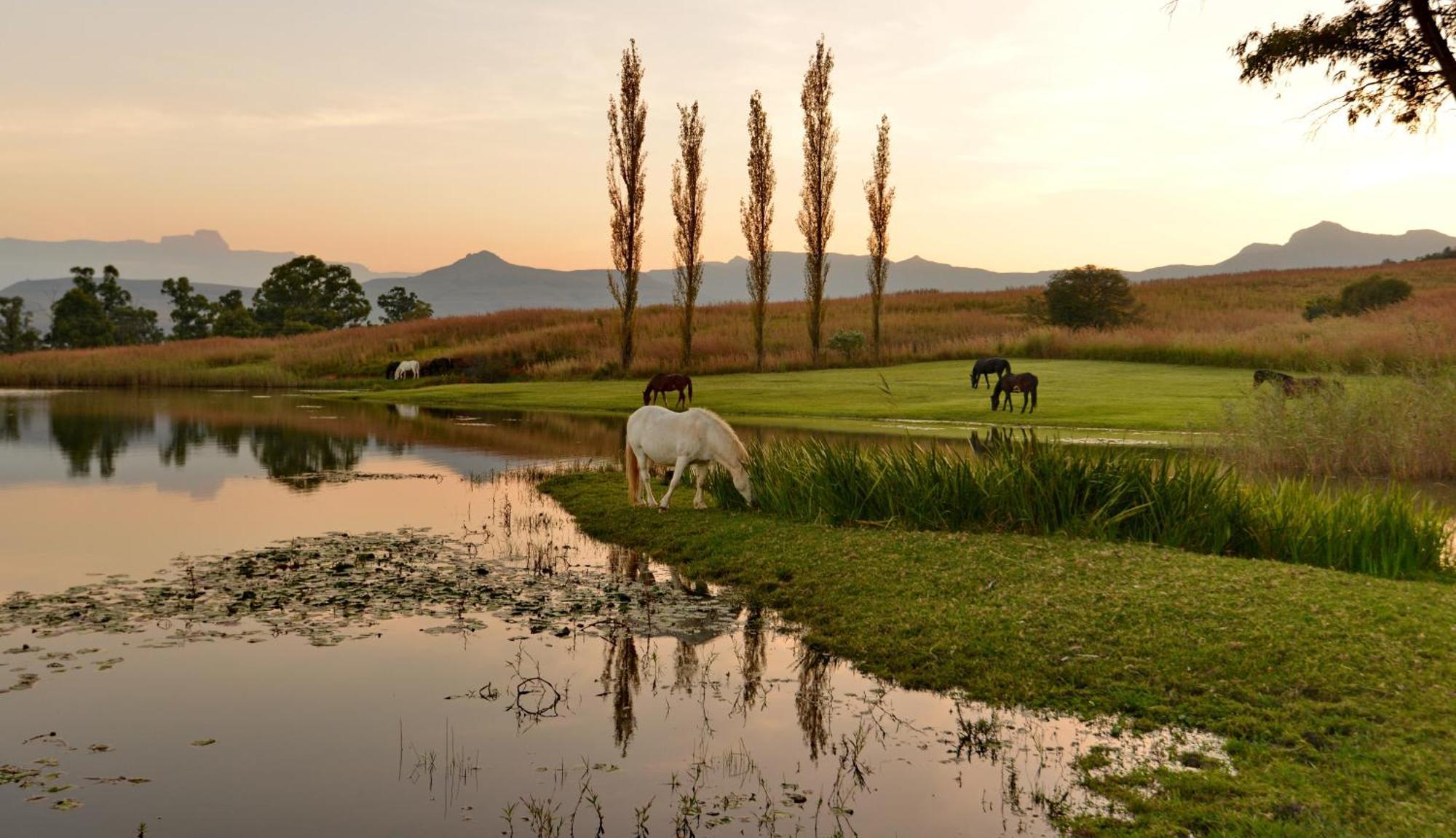 Montusi Mountain Lodge Bonjaneni المظهر الخارجي الصورة