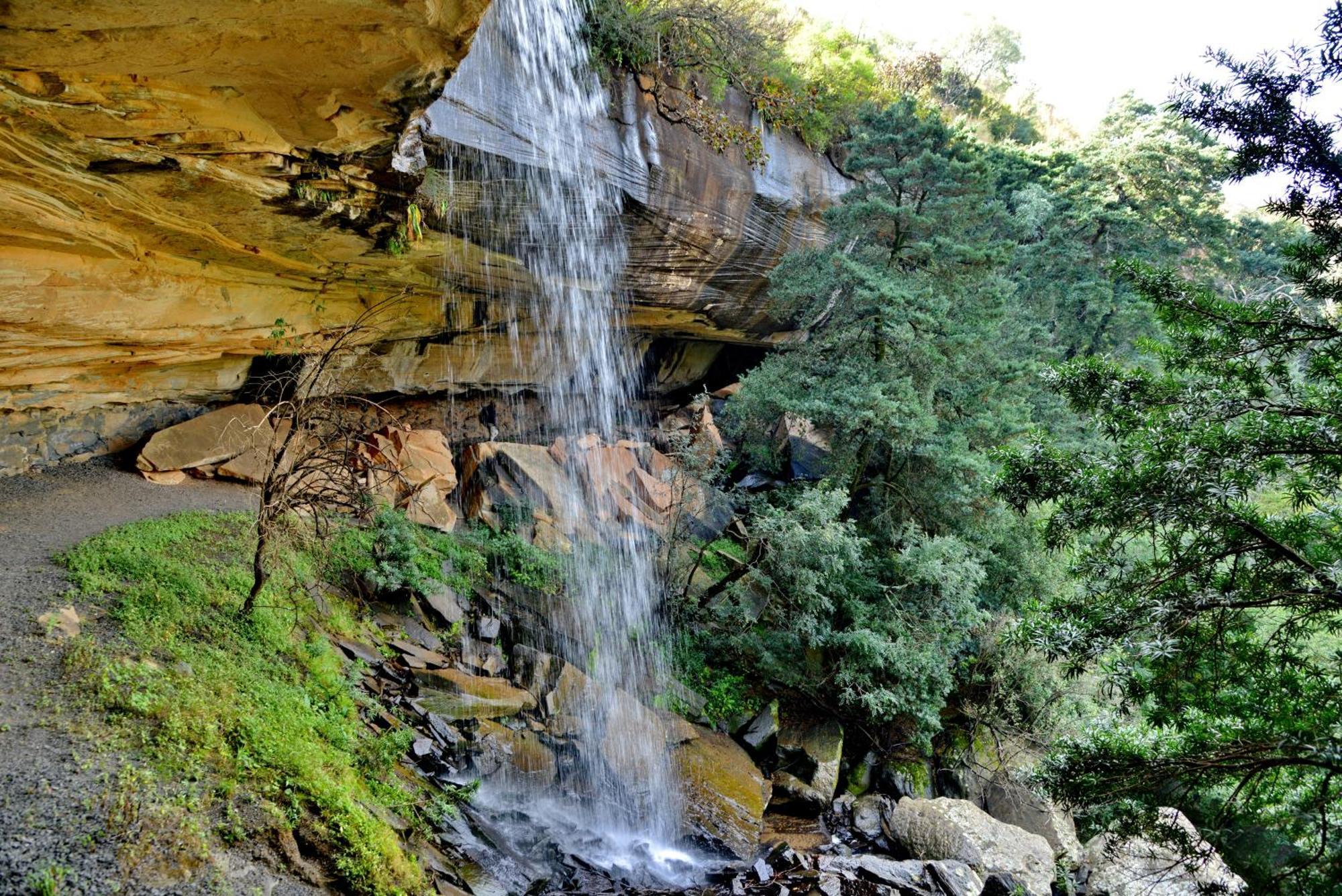 Montusi Mountain Lodge Bonjaneni المظهر الخارجي الصورة